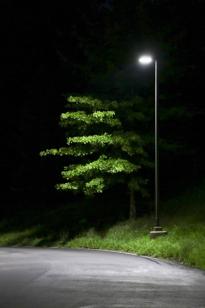 Roadway LEDs