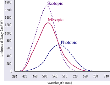 Spectral Sensitivity Curves