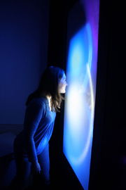 Light Fair - student examines an exhibit