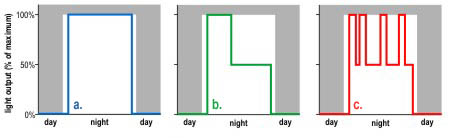 outdoor lighting control strategies